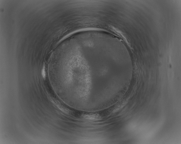 X0000070190069200605301323