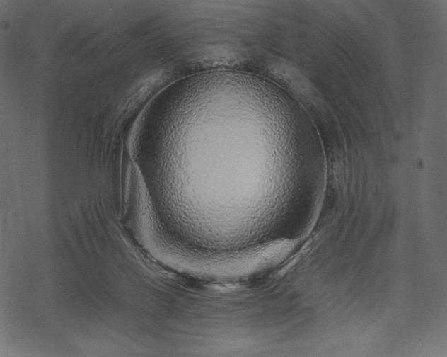 X0000070190070200605301323