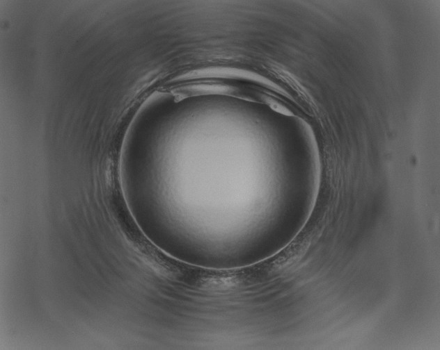 X0000070190071200605301323