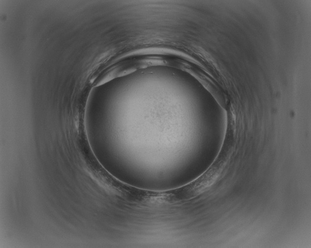 X0000070190072200605301323