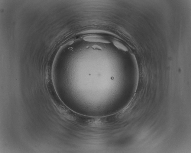 X0000070190074200605301323