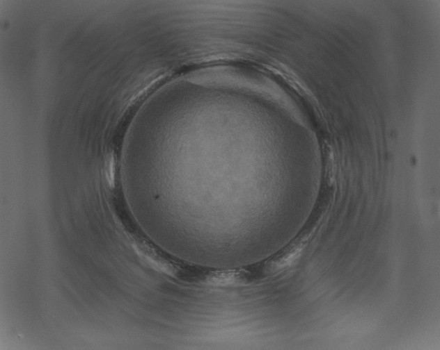 X0000070190076200605301323