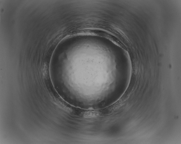 X0000070190077200605301323