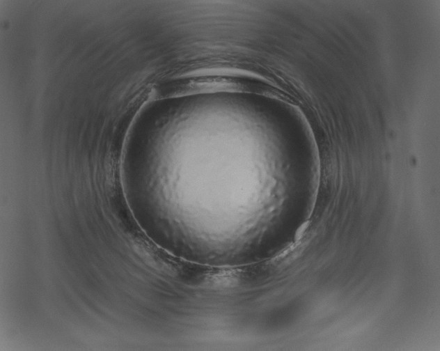 X0000070190078200605301323