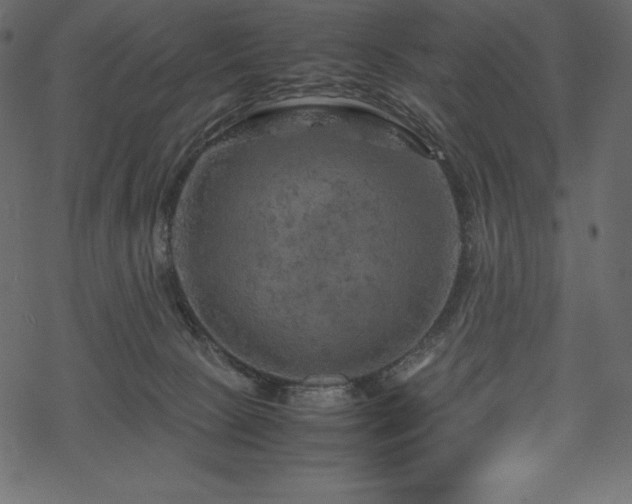 X0000070190081200605301323