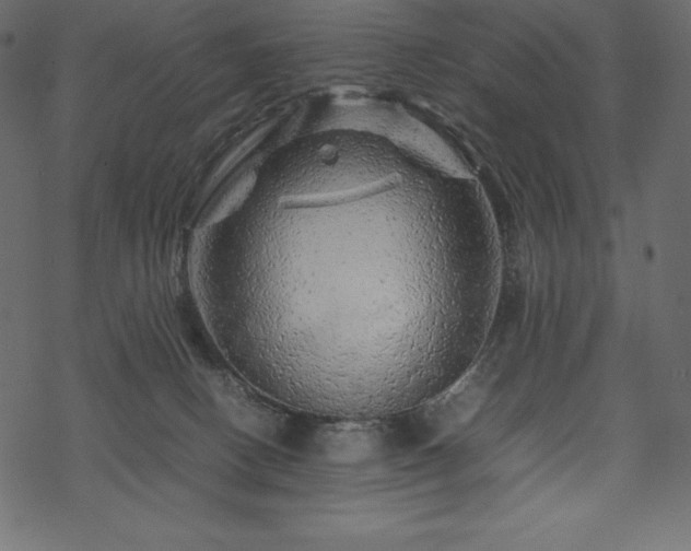 X0000070190082200605301323