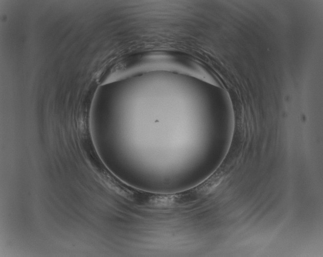 X0000070190084200605301323