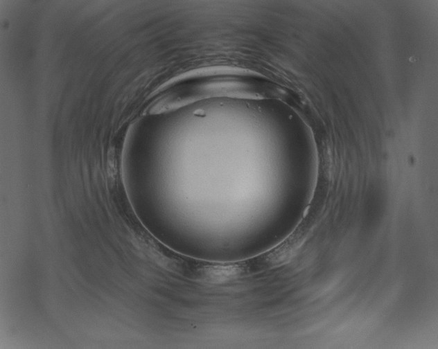 X0000070190085200605301323