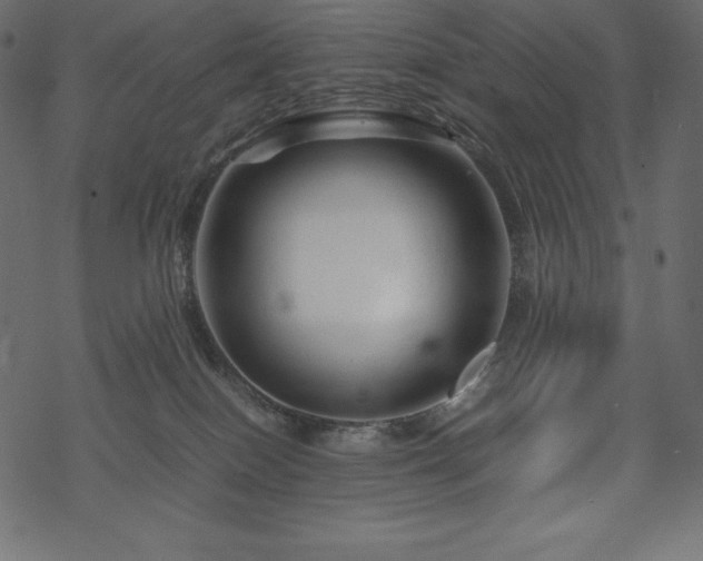 X0000070190086200605301323