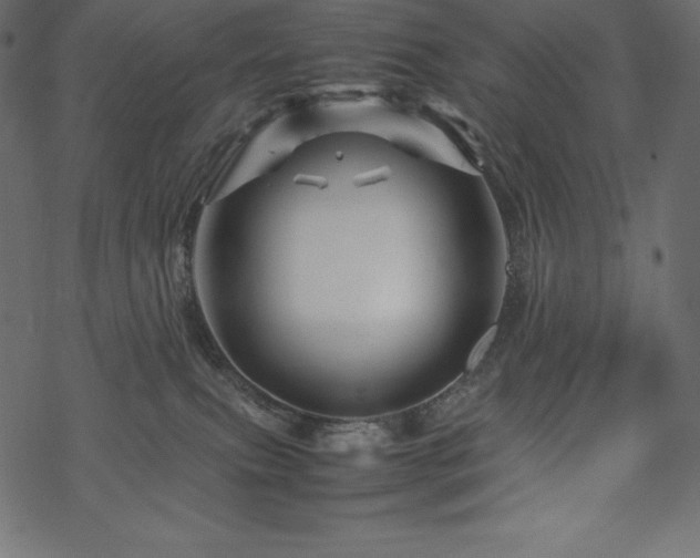 X0000070190087200605301323