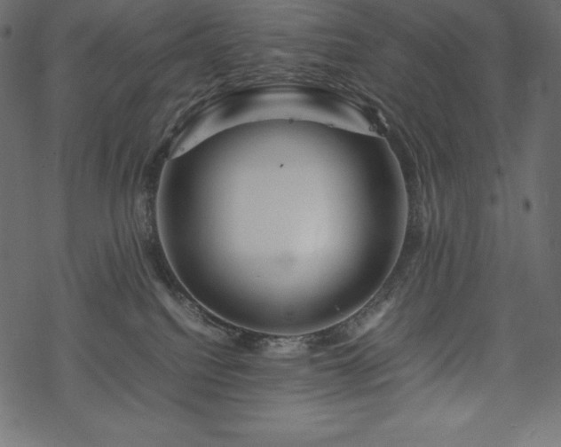 X0000070190088200605301323