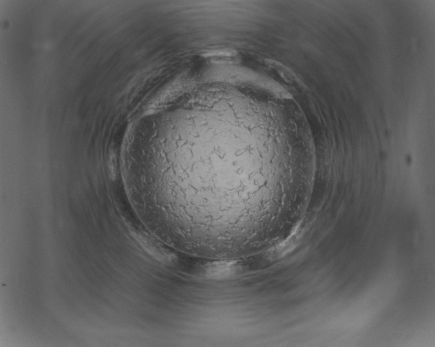 X0000070190090200605301323