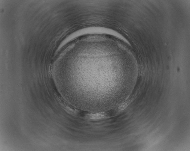 X0000070190093200605301323