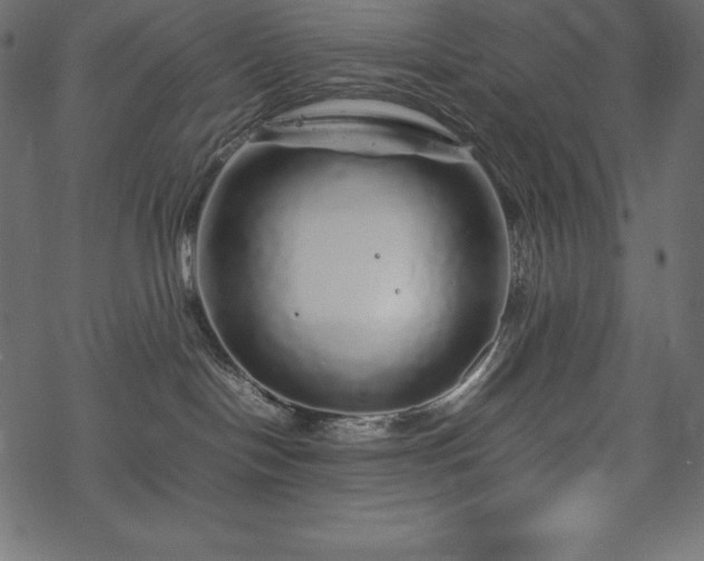 X0000070190094200605301323