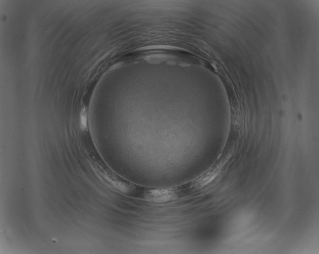 X0000070190095200605301323