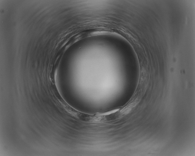 X0000070190096200605301323