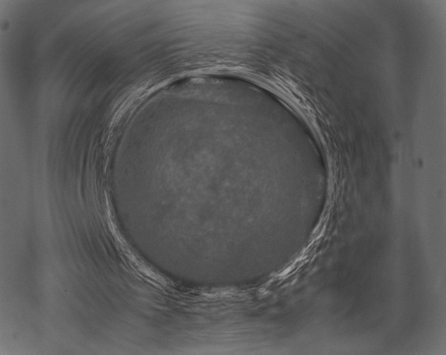 X0000070190097200605301323