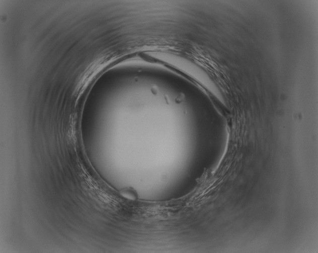 X0000070190098200605301323