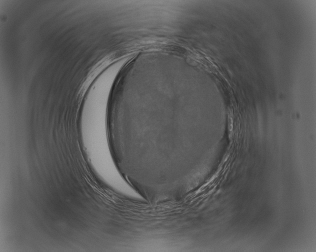 X0000070190099200605301322