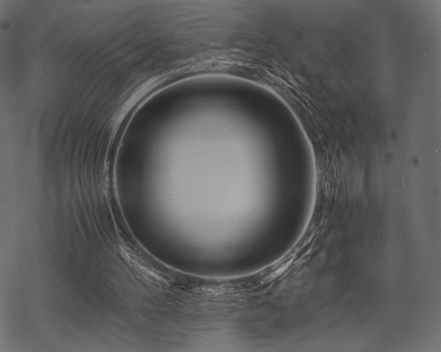 X0000070190100200605301322