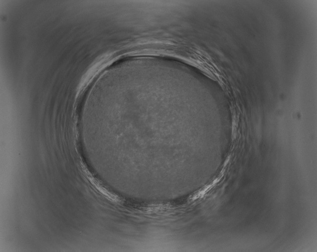 X0000070190101200605301322