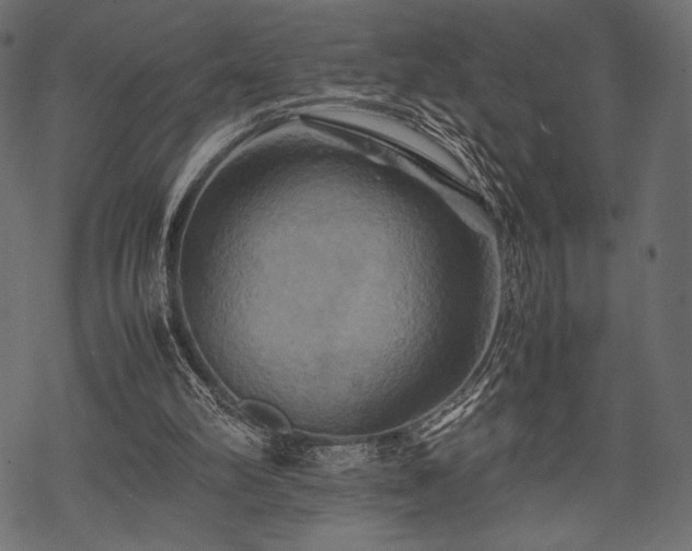 X0000070190102200605301322