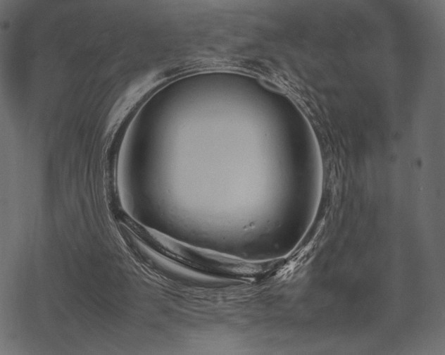 X0000070190103200605301322