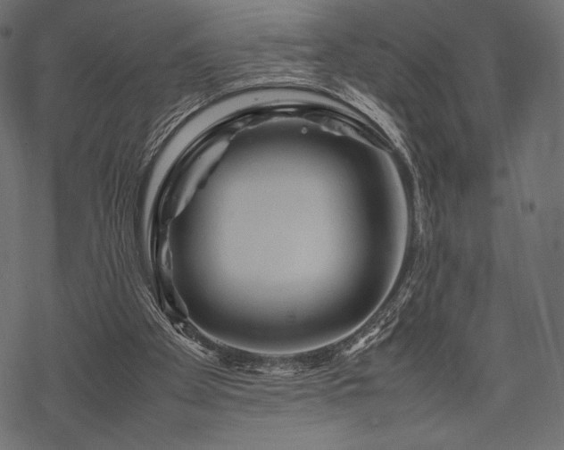 X0000070190105200605301322