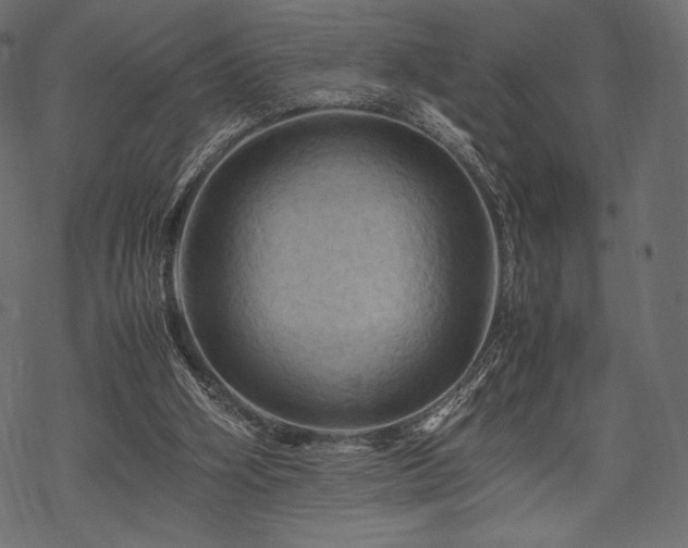 X0000070190106200605301322