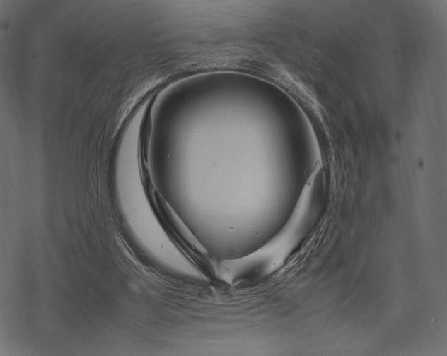 X0000070190107200605301322