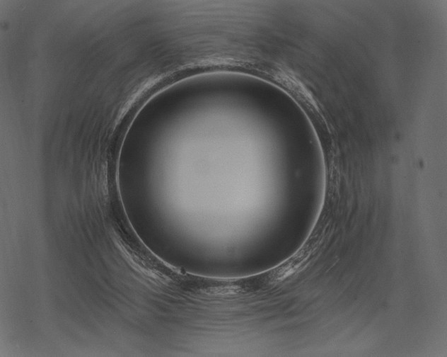 X0000070190108200605301322