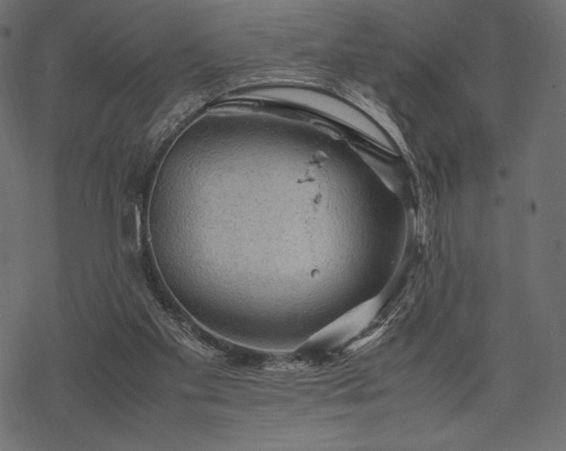 X0000070190109200605301322