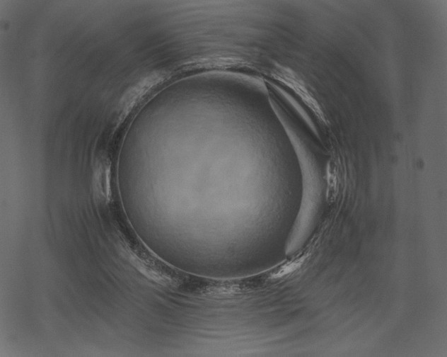 X0000070190110200605301322