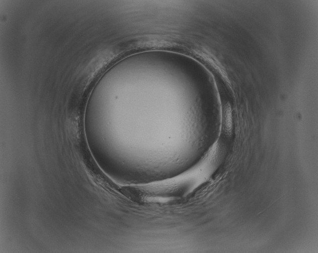 X0000070190111200605301322