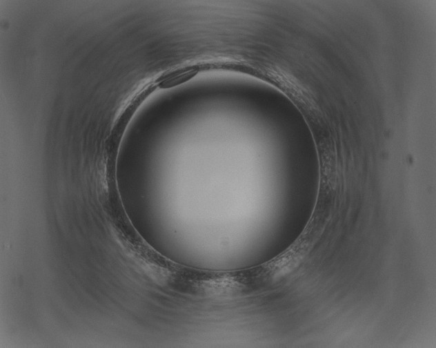 X0000070190112200605301322