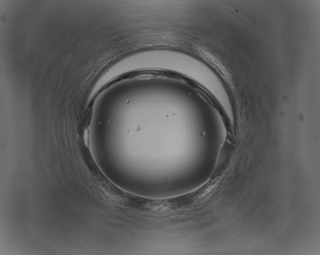 X0000070190113200605301322