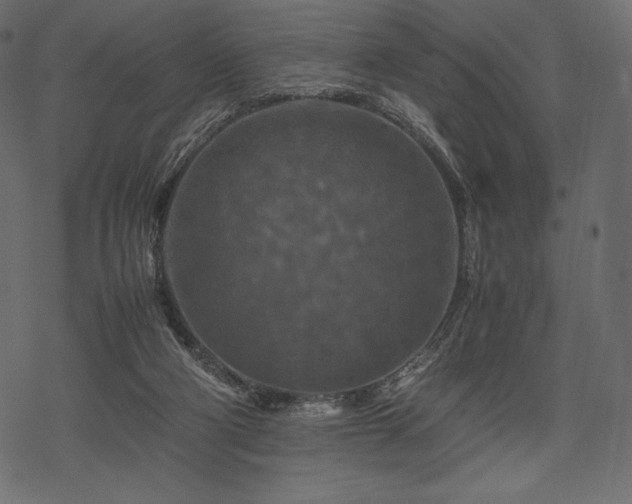 X0000070190114200605301322