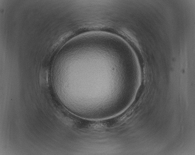 X0000070190115200605301322