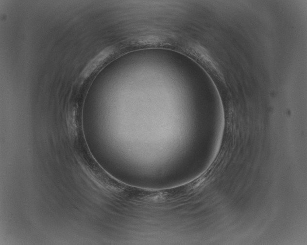 X0000070190116200605301322