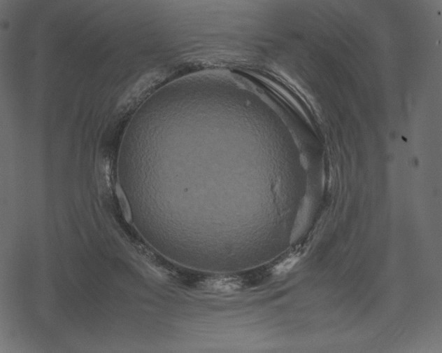 X0000070190117200605301322