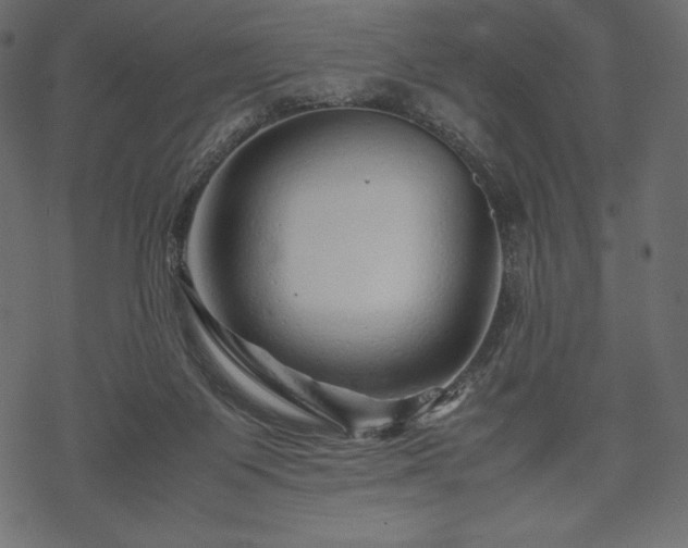 X0000070190119200605301322