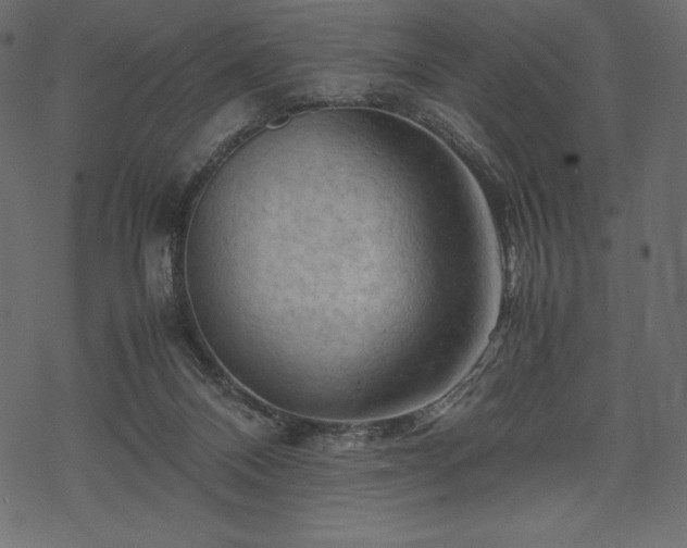 X0000070190120200605301322