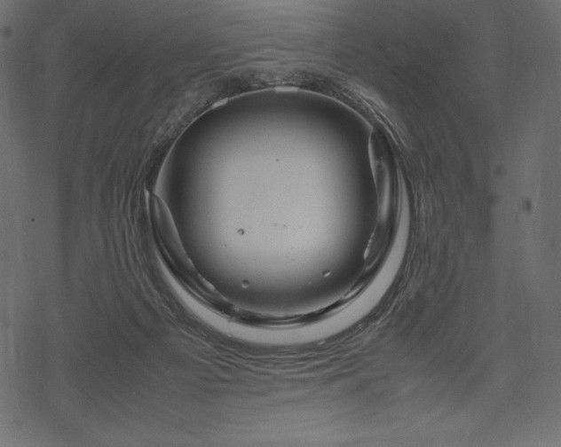 X0000070190121200605301322