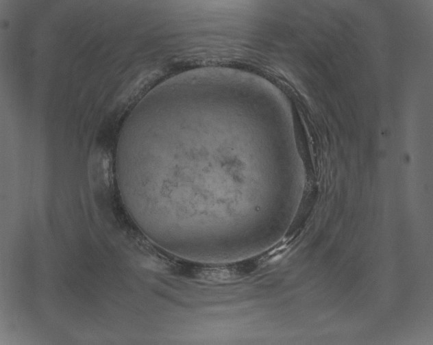 X0000070190123200605301322