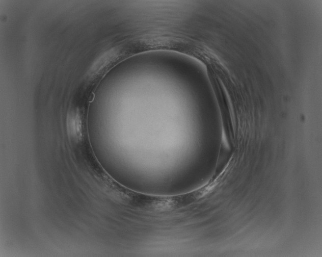 X0000070190124200605301322