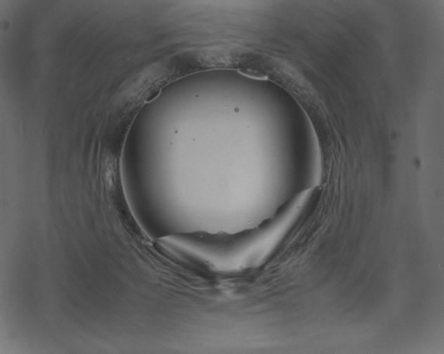 X0000070190125200605301322