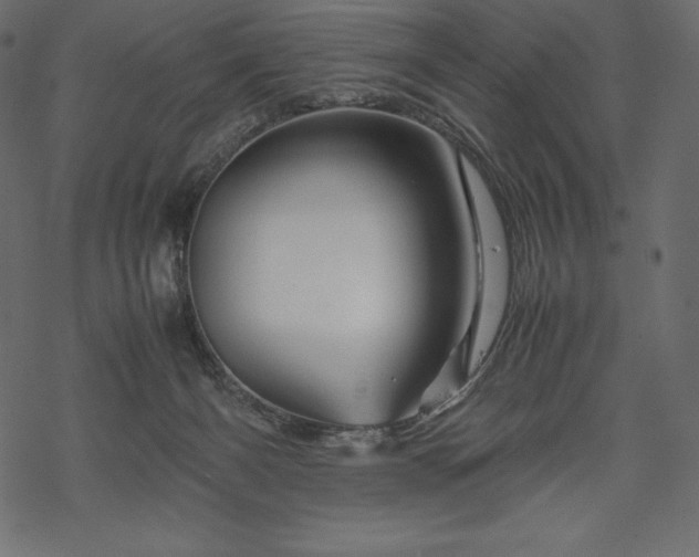 X0000070190126200605301322