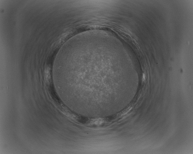 X0000070190127200605301322