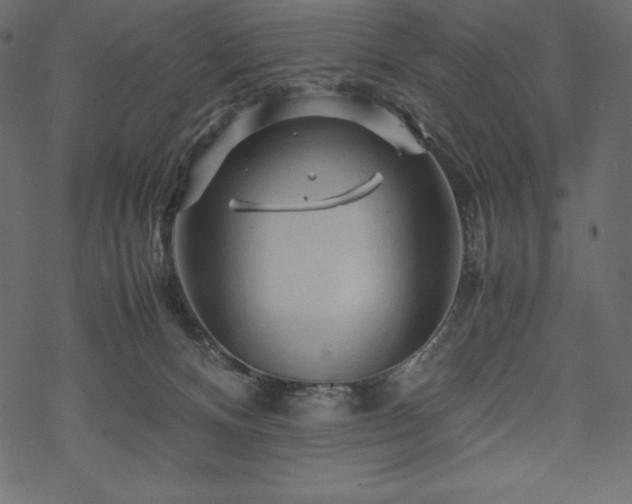 X0000070190128200605301322