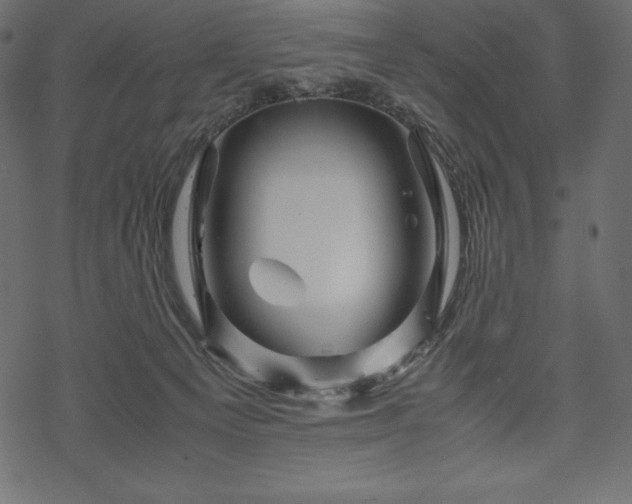 X0000070190129200605301322